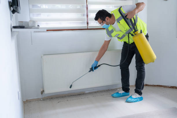 Best Pest Exclusion Services  in Alamae, NC